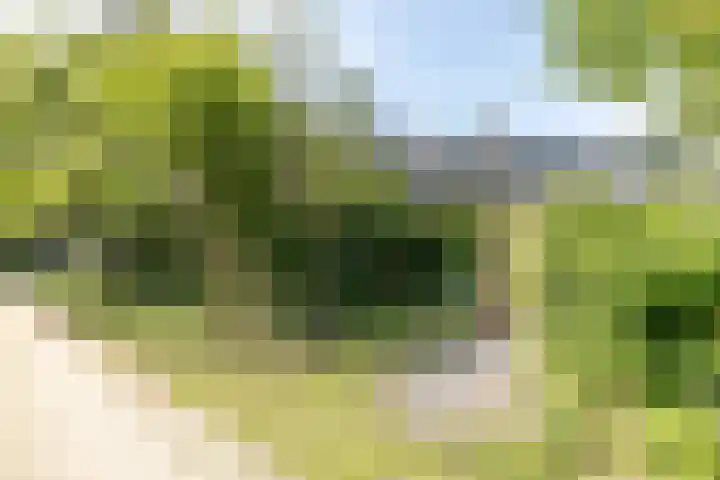 Vlasland 34 Leusden thumbnail 35