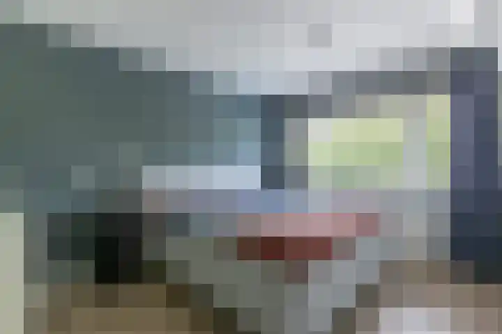 Vlasland 34 Leusden thumbnail 39