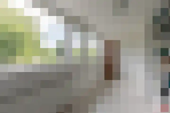 Vlasland 34 Leusden thumbnail 50