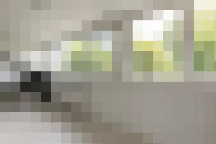Vlasland 34 Leusden thumbnail 51