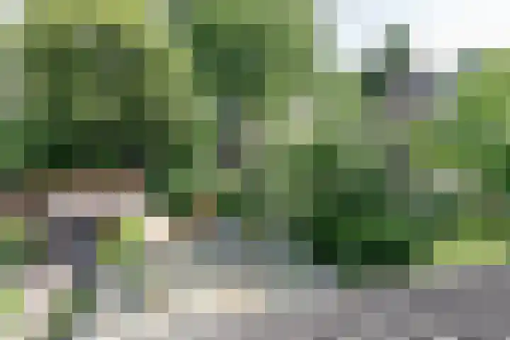 Vlasland 34 Leusden thumbnail 52