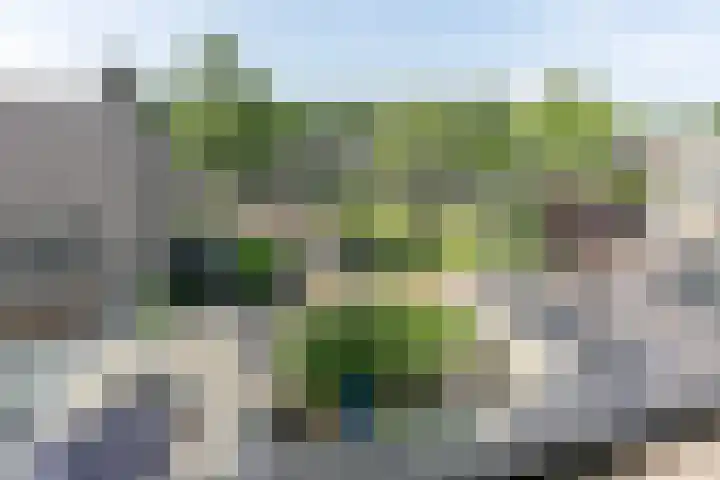Vlasland 34 Leusden thumbnail 55