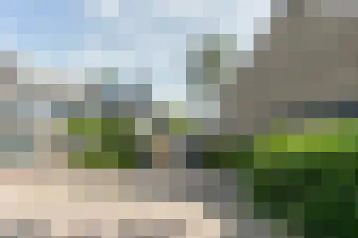 Vlasland 34 Leusden thumbnail 56