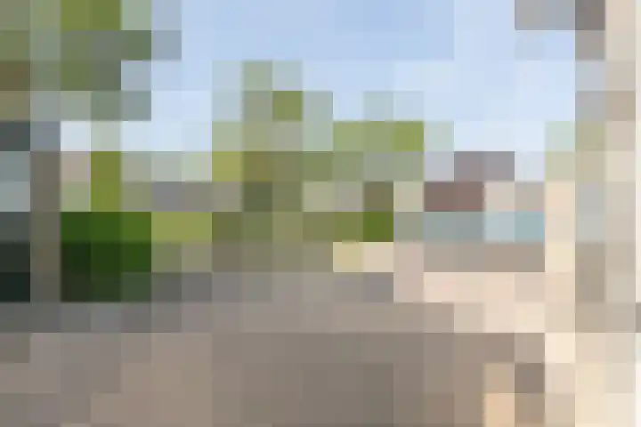 Vlasland 34 Leusden thumbnail 57