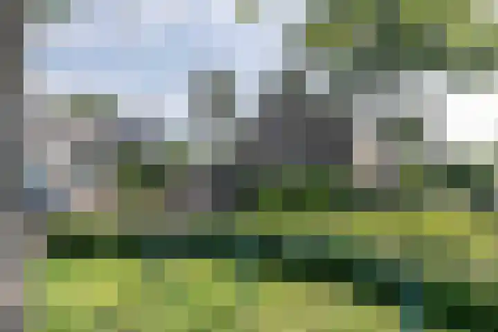 Vlasland 34 Leusden thumbnail 58