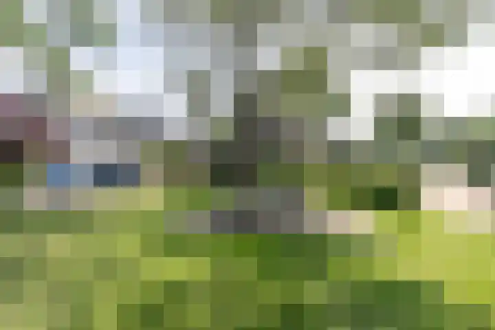 Vlasland 34 Leusden thumbnail 59