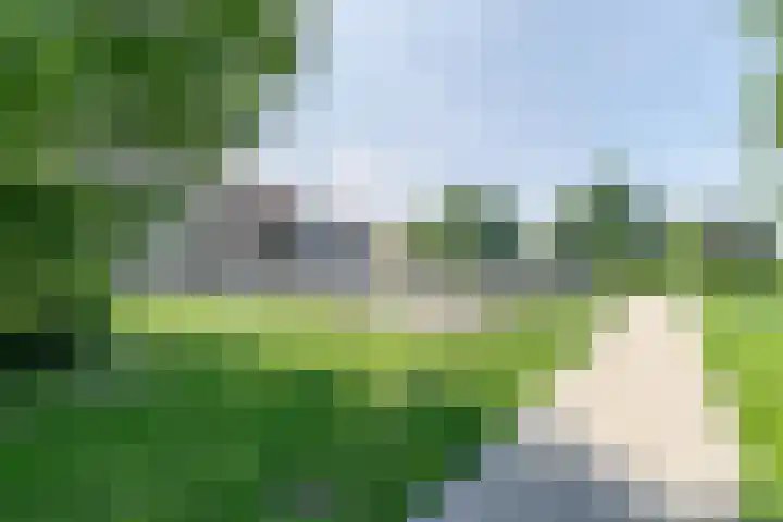 Vlasland 34 Leusden thumbnail 60
