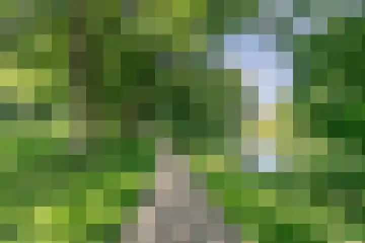 Vlasland 34 Leusden thumbnail 61