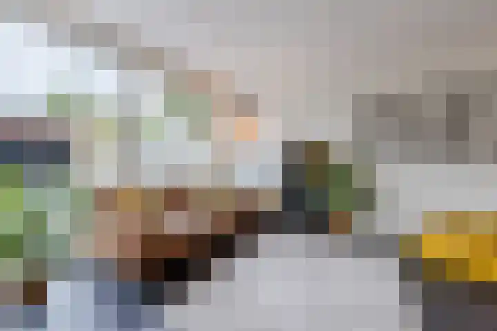 Vlasland 49 Leusden thumbnail 11