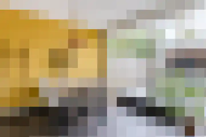 Vlasland 49 Leusden thumbnail 14