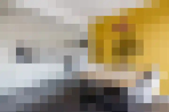 Vlasland 49 Leusden thumbnail 15