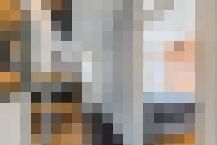 Vlasland 49 Leusden thumbnail 17