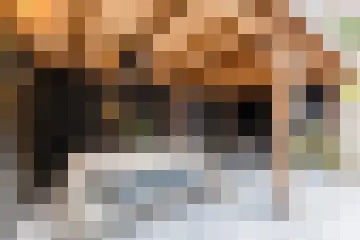 Vlasland 49 Leusden thumbnail 26