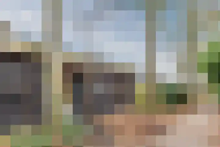 Vlasland 49 Leusden thumbnail 28