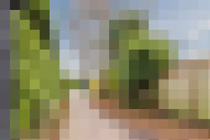 Vlasland 49 Leusden thumbnail 29