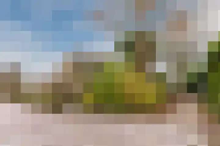 Vlasland 49 Leusden thumbnail 31