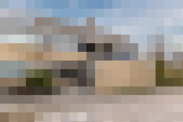Vlasland 49 Leusden thumbnail 32