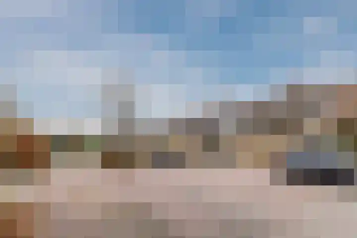 Vlasland 49 Leusden thumbnail 33
