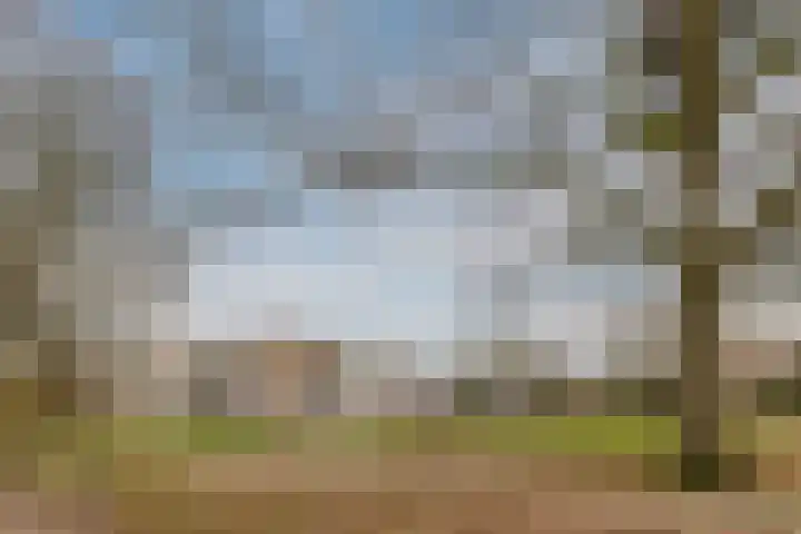 Vlasland 49 Leusden thumbnail 34