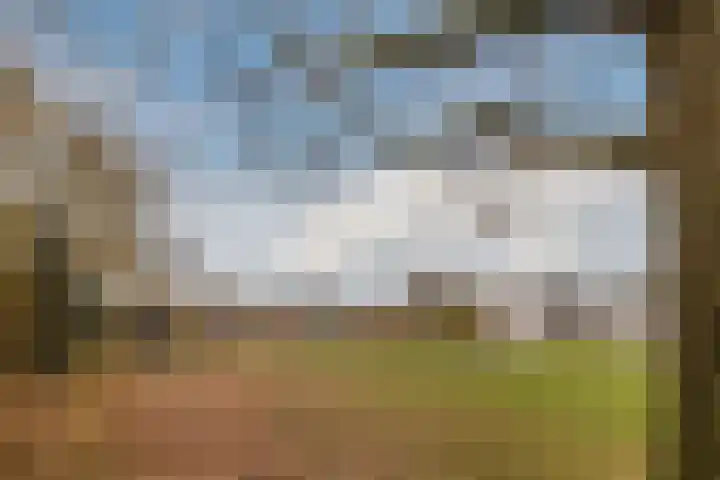 Vlasland 49 Leusden thumbnail 35