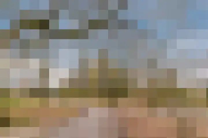 Vlasland 49 Leusden thumbnail 36