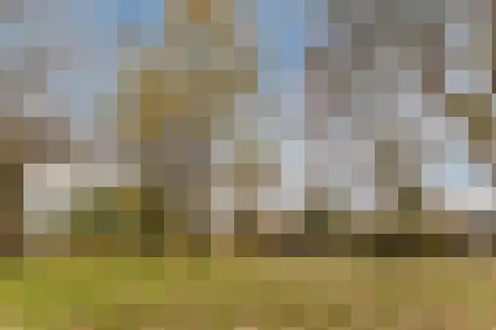 Vlasland 49 Leusden thumbnail 37
