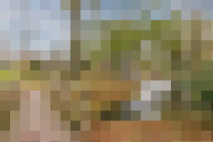 Vlasland 49 Leusden thumbnail 38