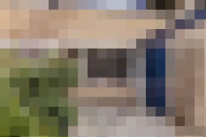 Vlasland 49 Leusden thumbnail 5