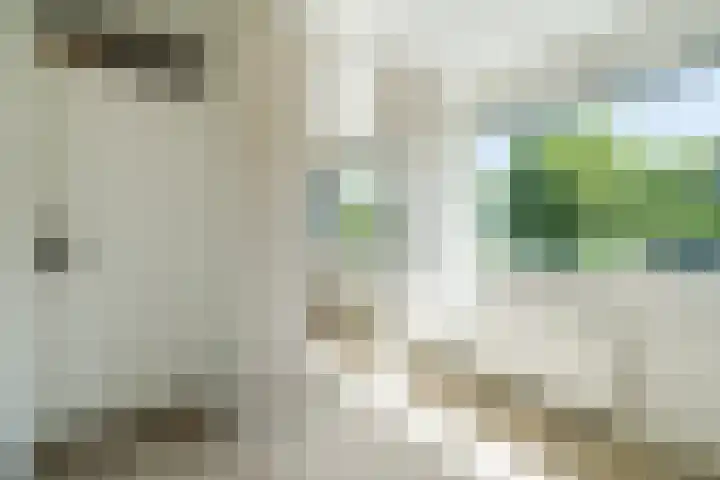 Vlasland 50 Leusden thumbnail 15