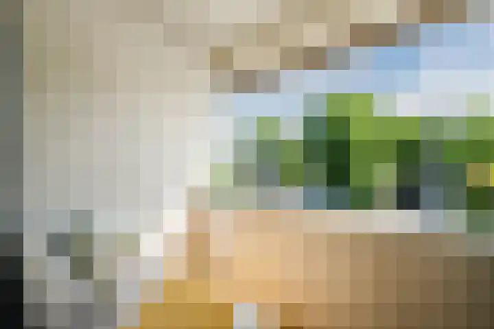 Vlasland 50 Leusden thumbnail 16