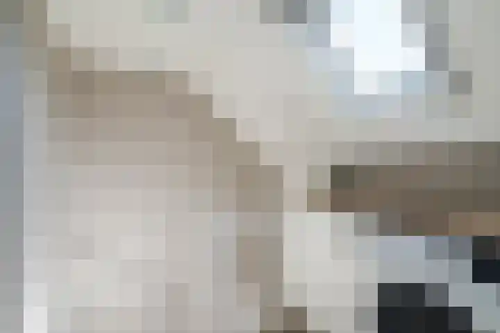 Vlasland 50 Leusden thumbnail 19
