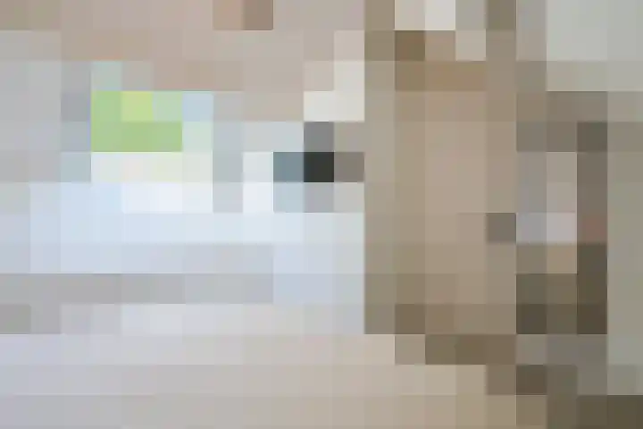 Vlasland 50 Leusden thumbnail 22