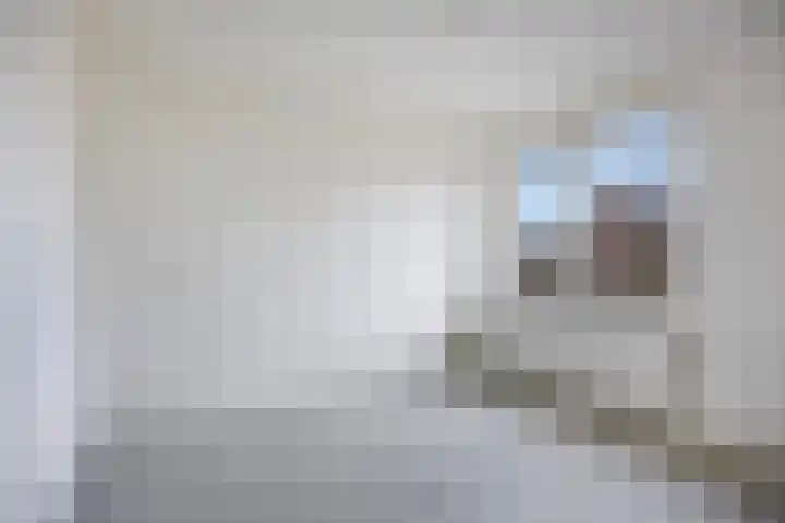 Vlasleeuwenbek 12 Purmerend thumbnail 18