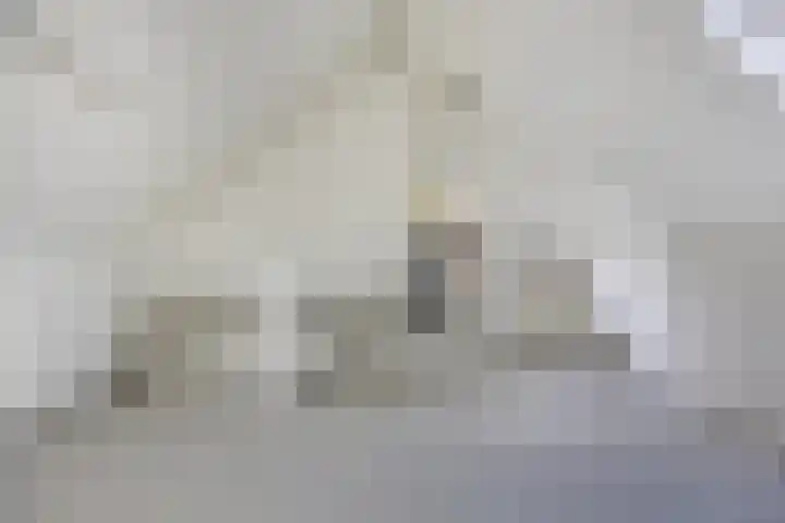 Vlasleeuwenbek 12 Purmerend thumbnail 21