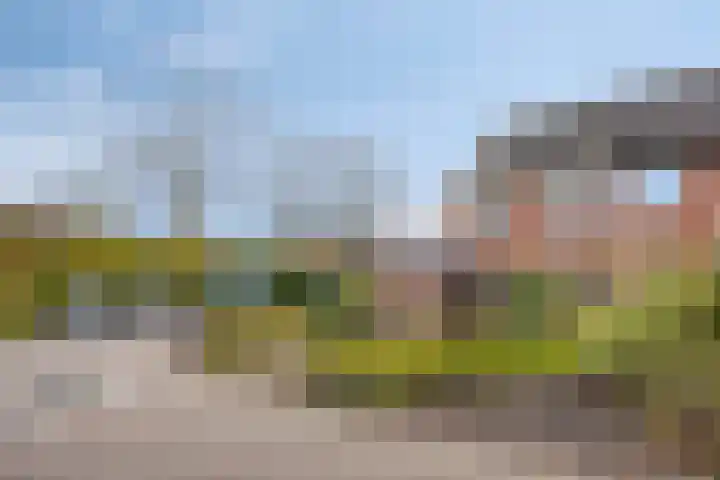 Vlasleeuwenbek 12 Purmerend thumbnail 22