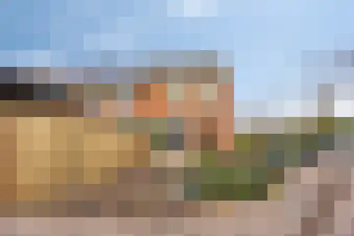 Vlasleeuwenbek 12 Purmerend thumbnail 23