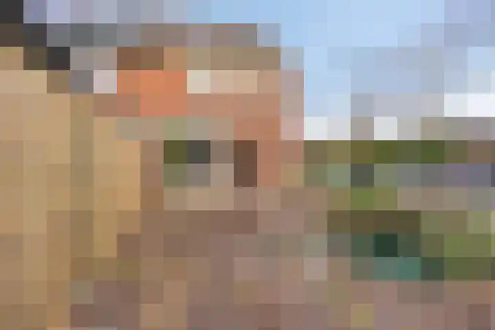 Vlasleeuwenbek 12 Purmerend thumbnail 24