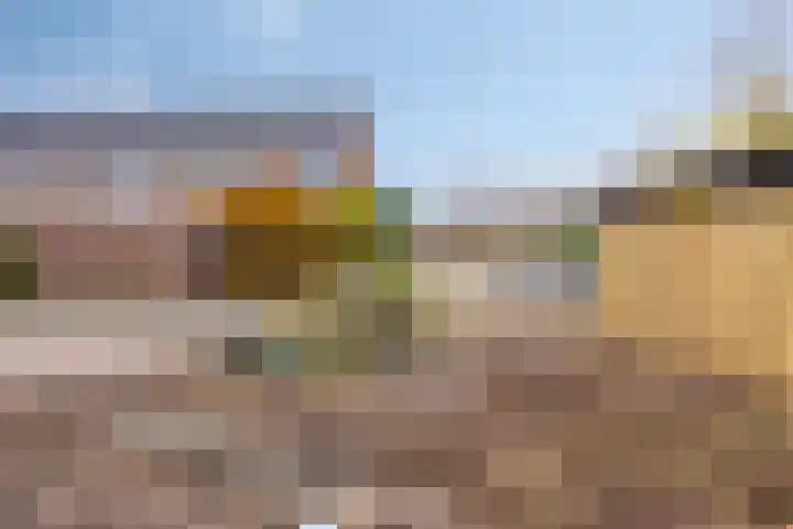 Vlasleeuwenbek 12 Purmerend thumbnail 25