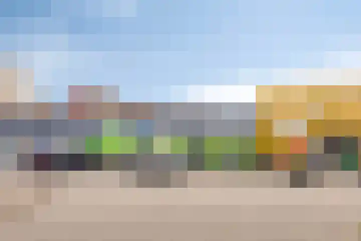 Vlasleeuwenbek 12 Purmerend thumbnail 27