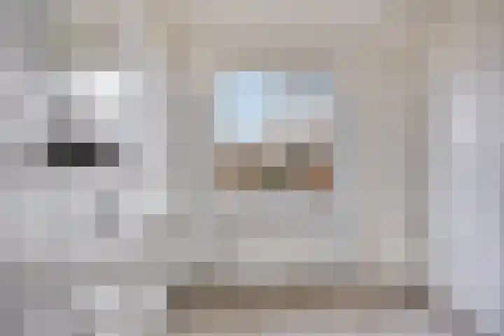 Vlasleeuwenbek 12 Purmerend thumbnail 4