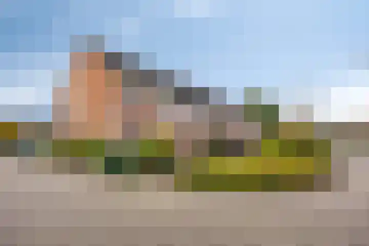 Vlasleeuwenbek 12 Purmerend thumbnail 6