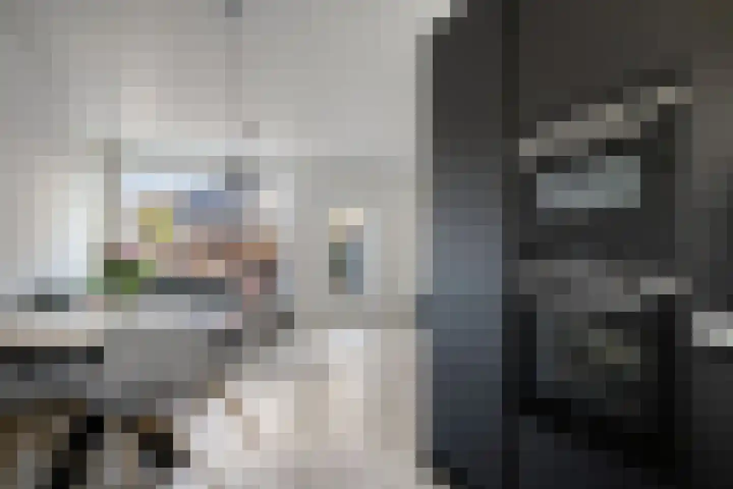 Vlasleeuwenbek 60 Purmerend thumbnail 19