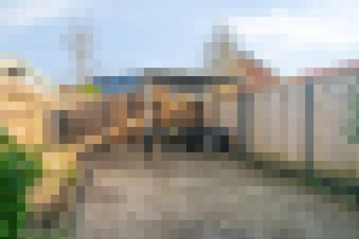 Vlasleeuwenbek 60 Purmerend thumbnail 30