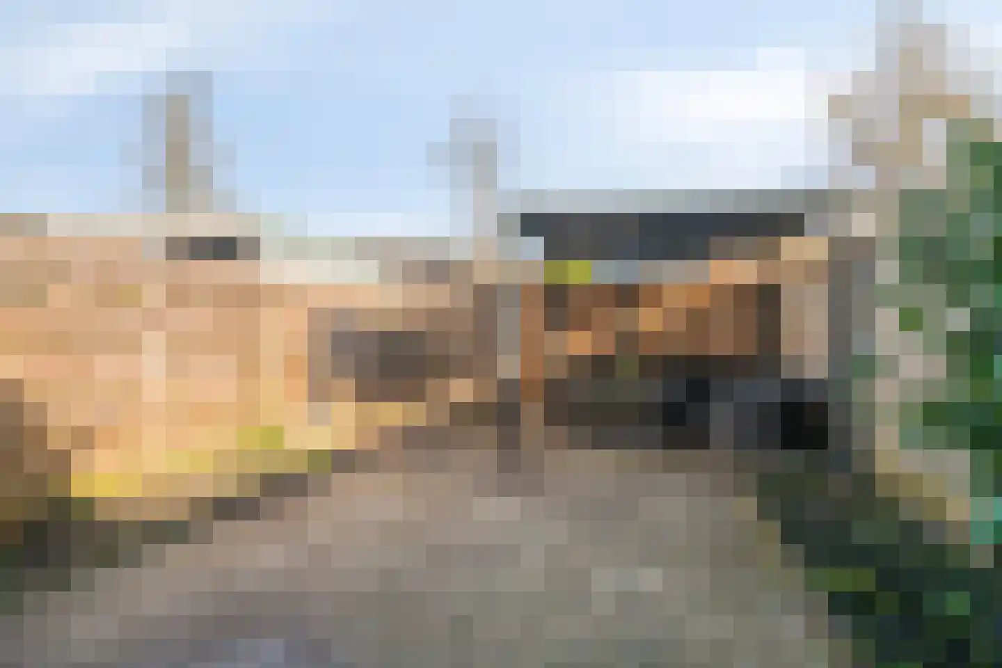 Vlasleeuwenbek 60 Purmerend thumbnail 5
