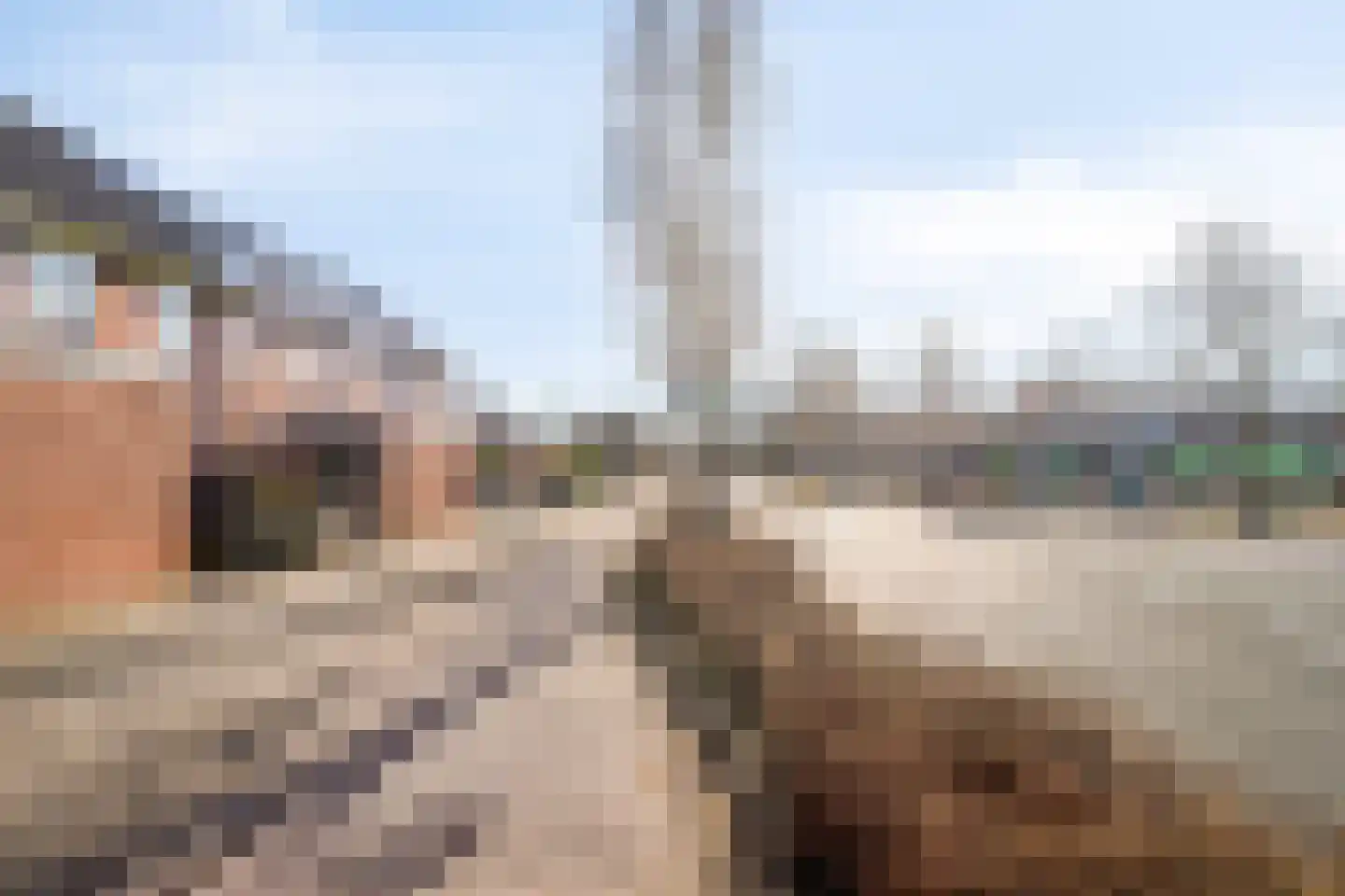 Vlasleeuwenbek 60 Purmerend thumbnail 8