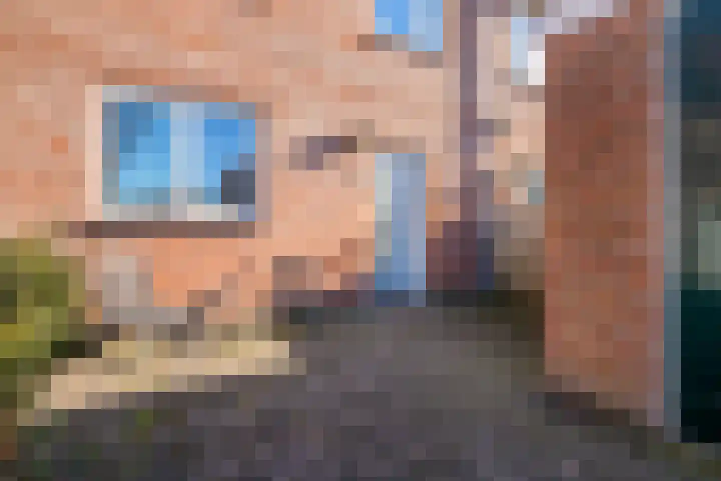Vlasleeuwenbek 60 Purmerend thumbnail 9