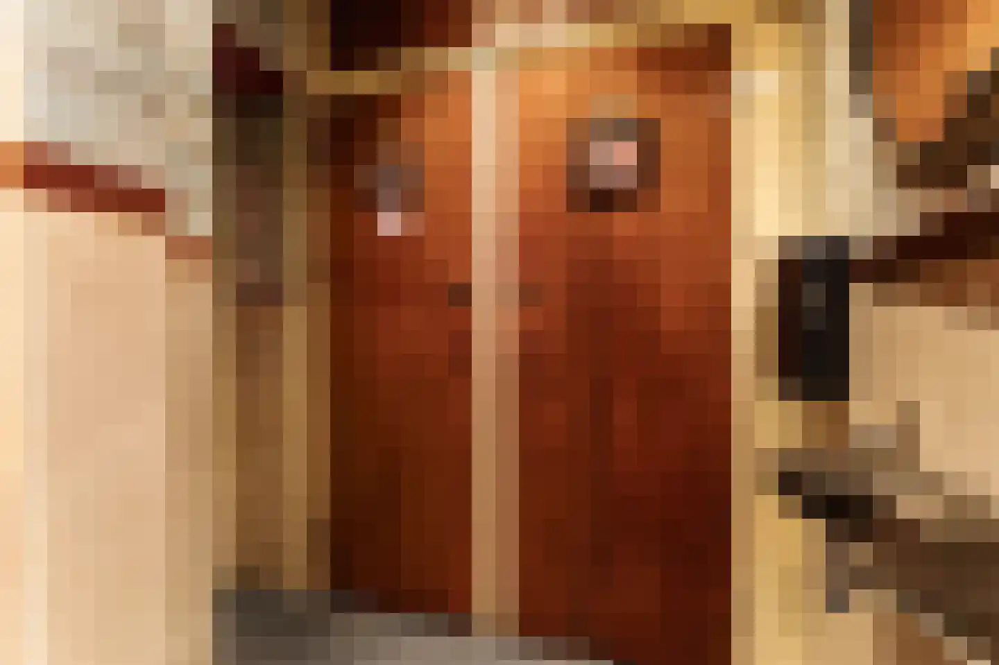 Vlasmarkt 14 A Middelburg thumbnail 13