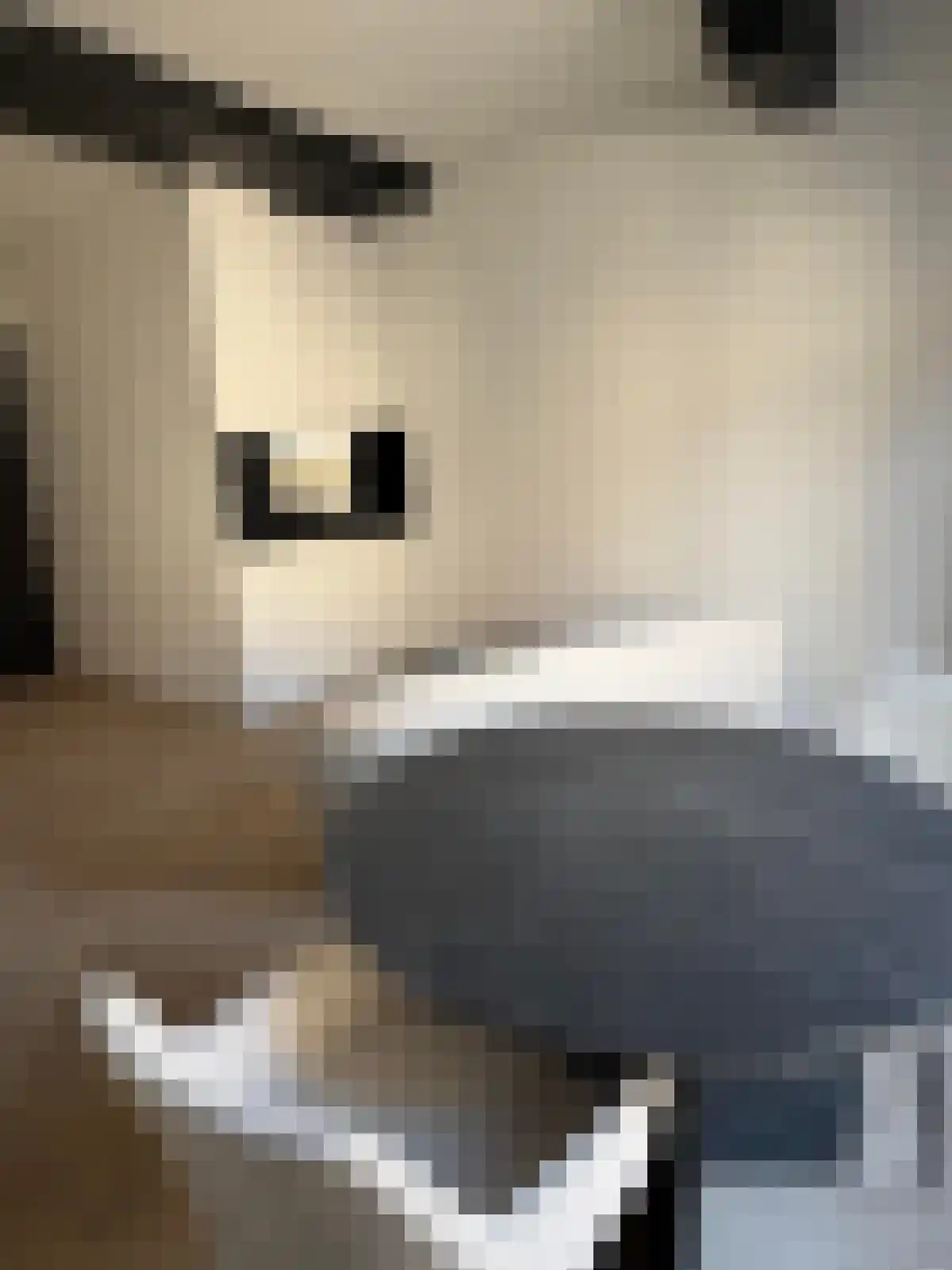 Vlasmarkt Middelburg thumbnail 5