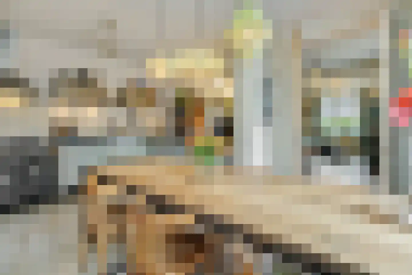 Vlasmeersestraat 12 Vught thumbnail 11