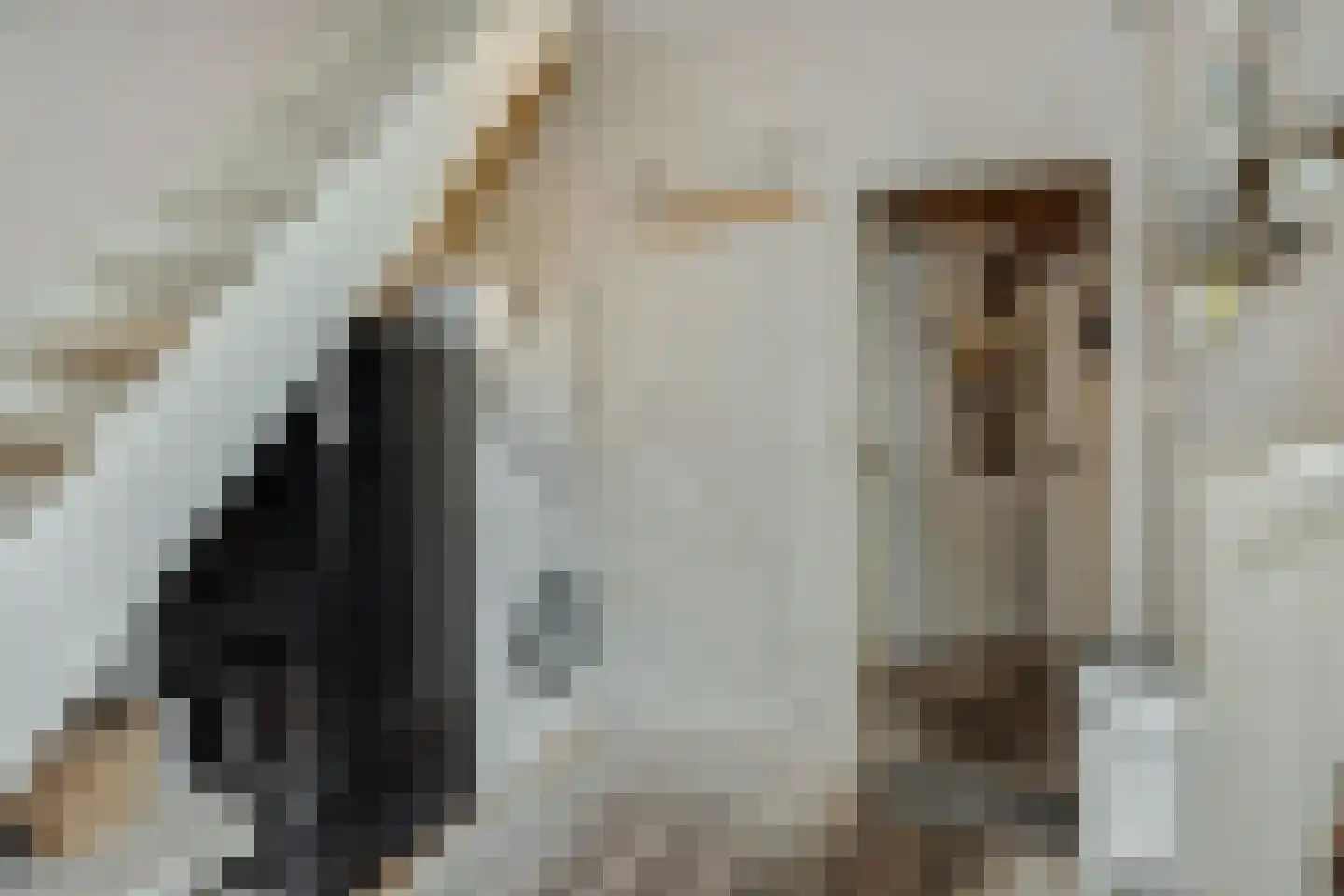 Vlasmeersestraat 12 Vught thumbnail 16